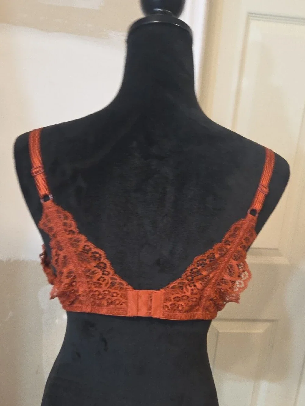 Auden Seamless Padded Bra in Rust - Everyday Support Lace Smooth